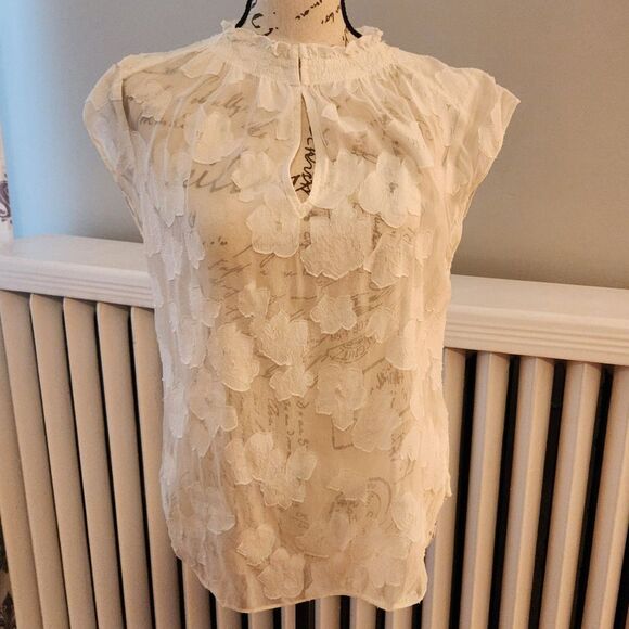 Rebecca Taylor Off-White "Fil Coupe" Sheer Floral Lace Blouse, Silk/Cotton Sz 4 - Picture 2 of 10